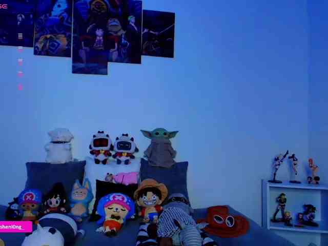 Nicorobin webcam