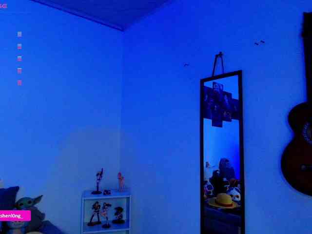 Nicorobin webcam