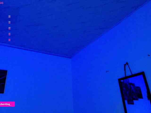 Nicorobin webcam