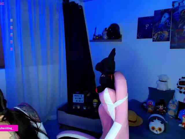 Nicorobin webcam