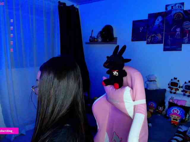 Nicorobin webcam