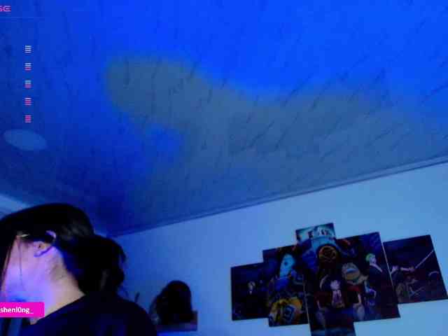 Nicorobin webcam