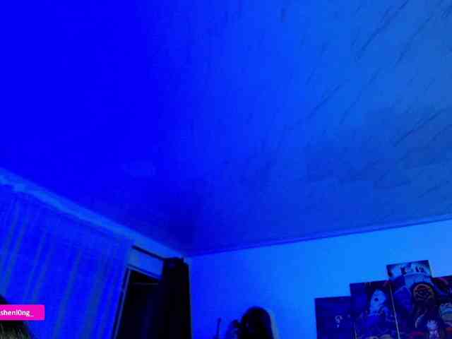 Nicorobin webcam
