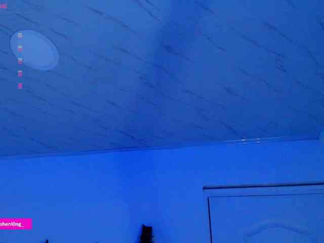 Nicorobin webcam