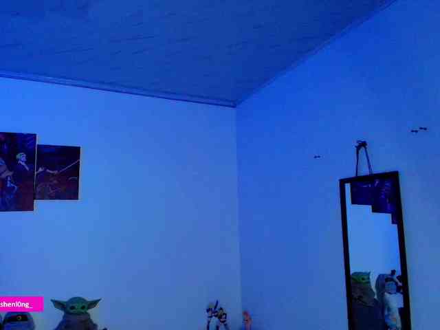 Nicorobin webcam