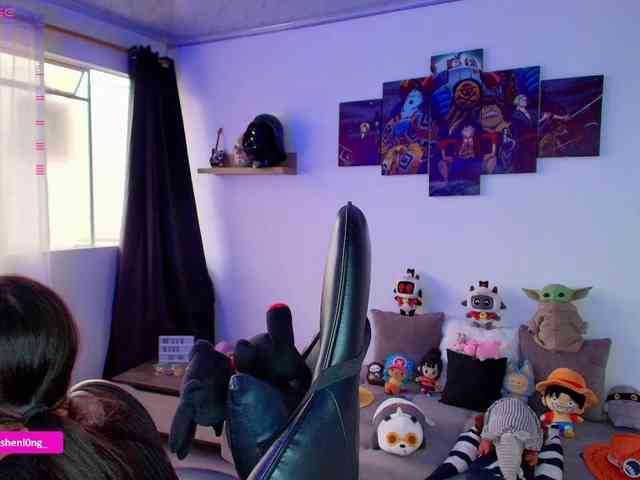 Nicorobin webcam