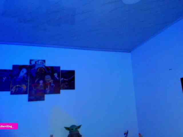 Nicorobin webcam