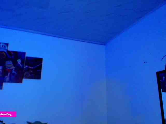 Nicorobin webcam