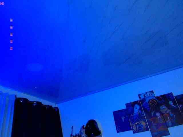 Nicorobin webcam