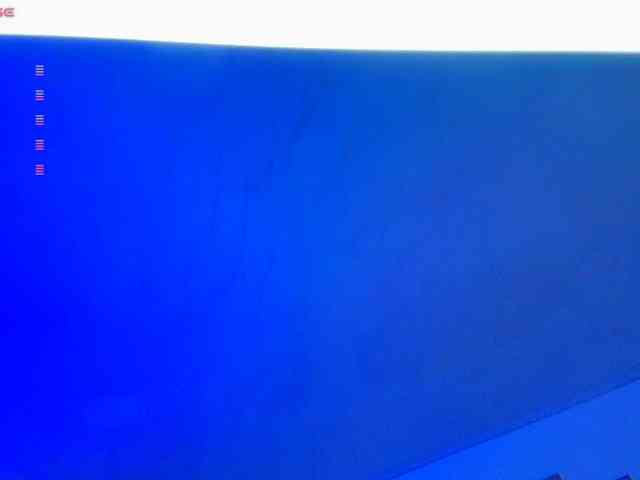 Nicorobin webcam