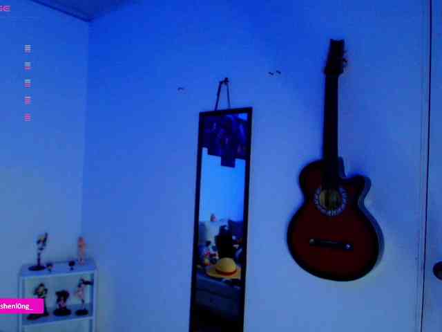 Nicorobin webcam