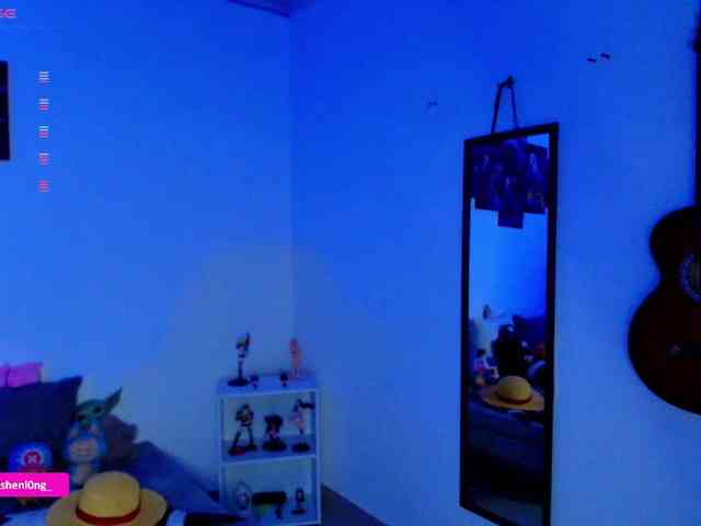 Nicorobin webcam