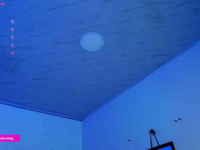 Nicorobin webcam