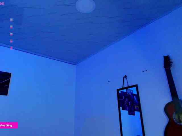 Nicorobin webcam