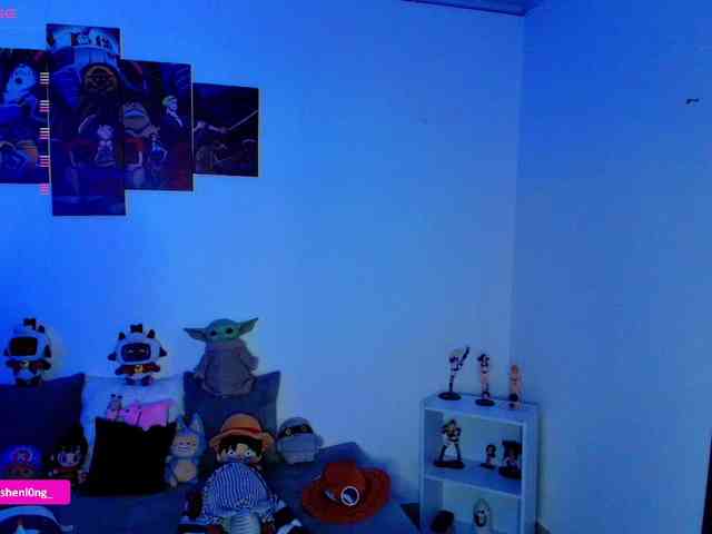 Nicorobin webcam