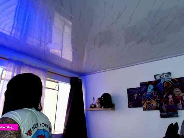 Nicorobin webcam