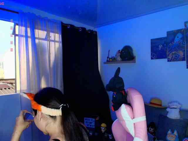 Nicorobin webcam