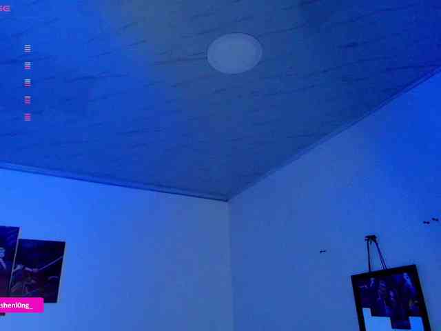 Nicorobin webcam