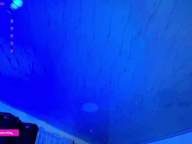 Nicorobin webcam