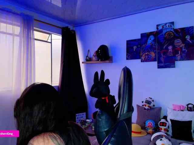 Nicorobin webcam