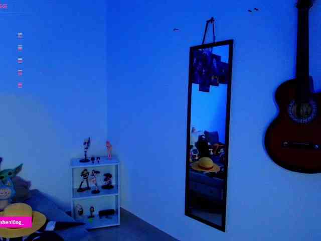 Nicorobin webcam