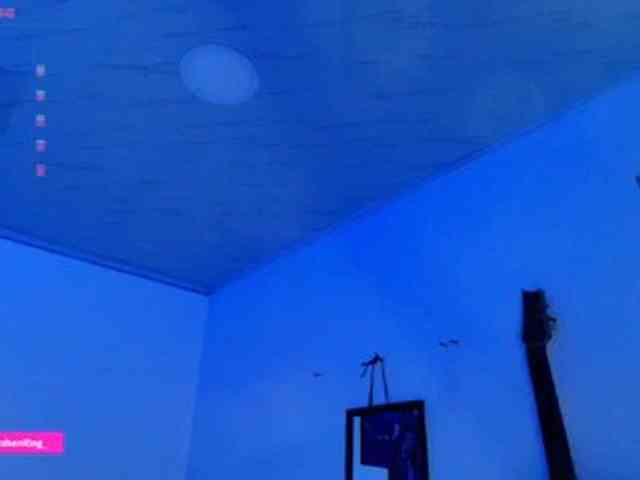 Nicorobin webcam