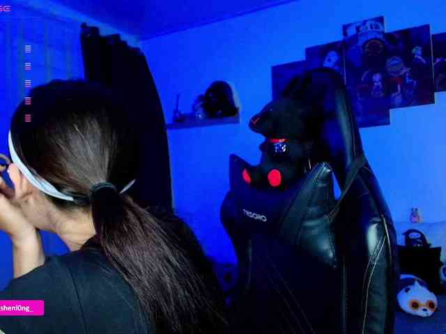 Nicorobin webcam
