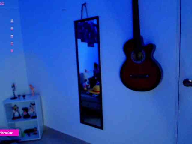 Nicorobin webcam