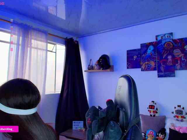 Nicorobin webcam