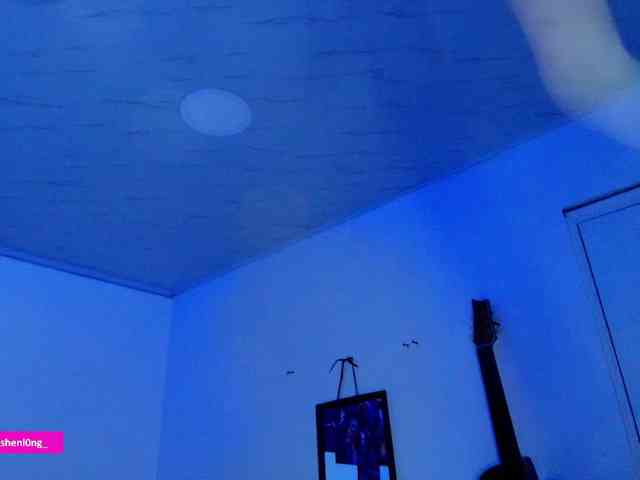 Nicorobin webcam