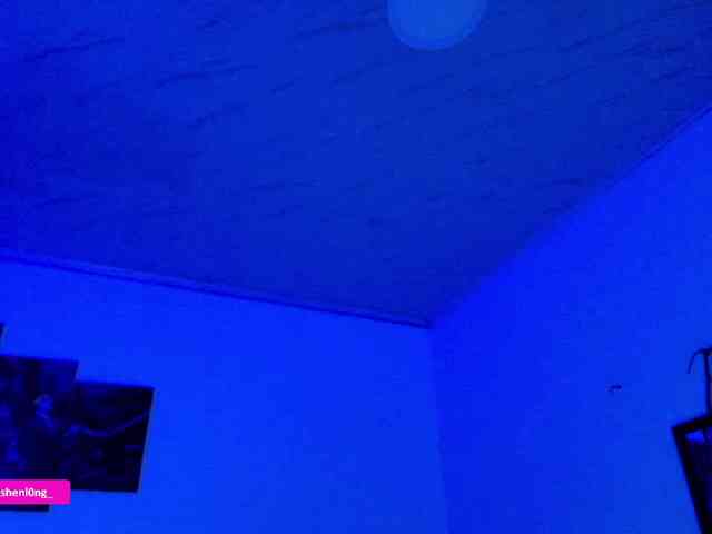 Nicorobin webcam
