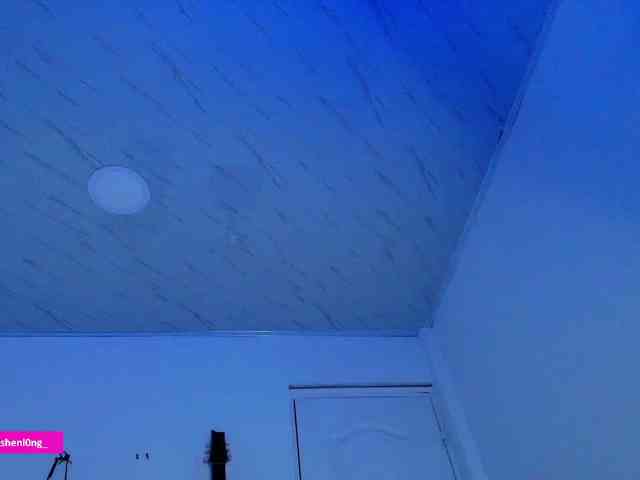 Nicorobin webcam