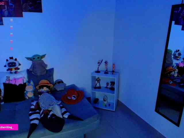 Nicorobin webcam