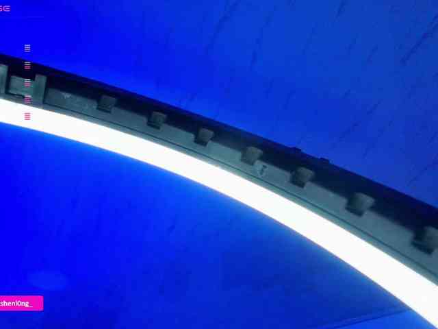Nicorobin webcam