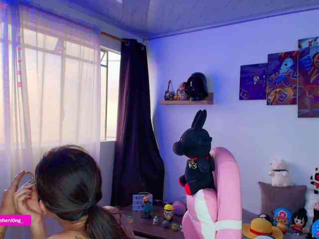 Nicorobin webcam
