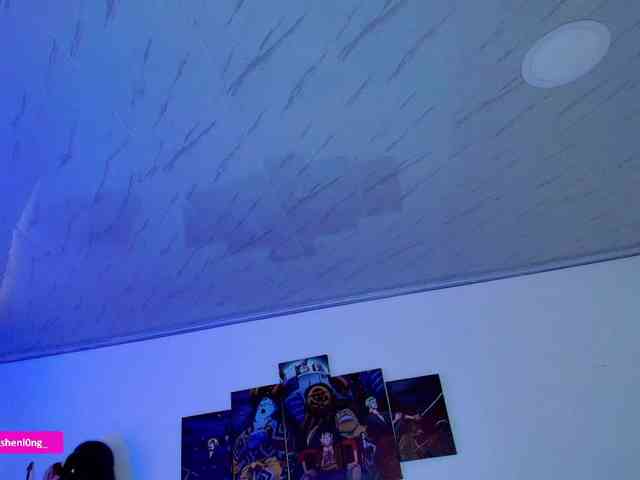 Nicorobin webcam