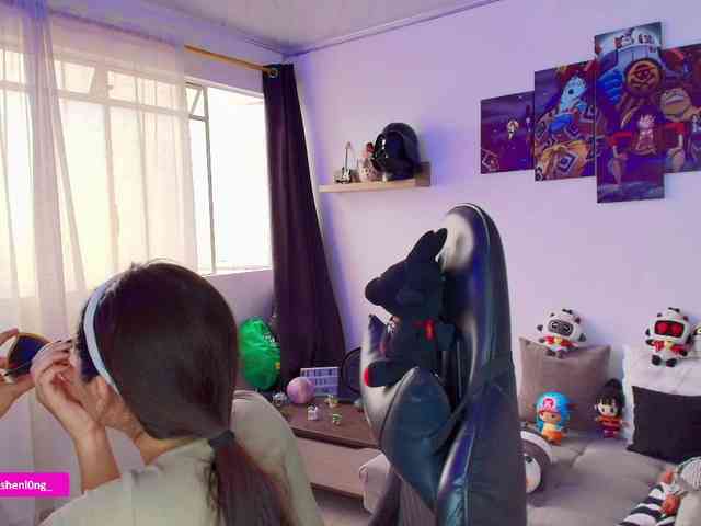 Nicorobin webcam