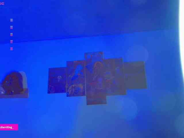 Nicorobin webcam
