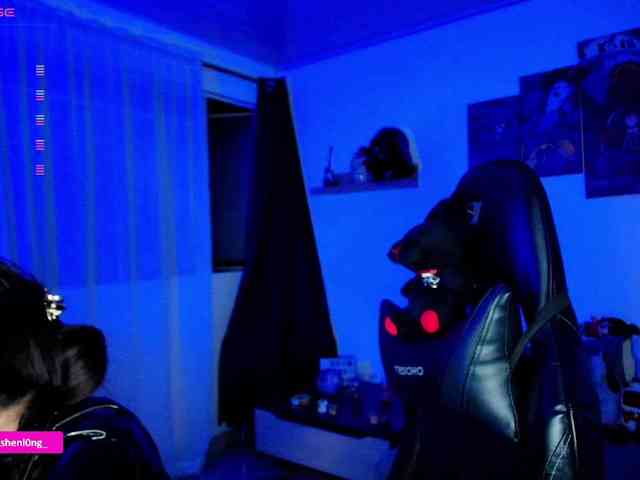 Nicorobin webcam