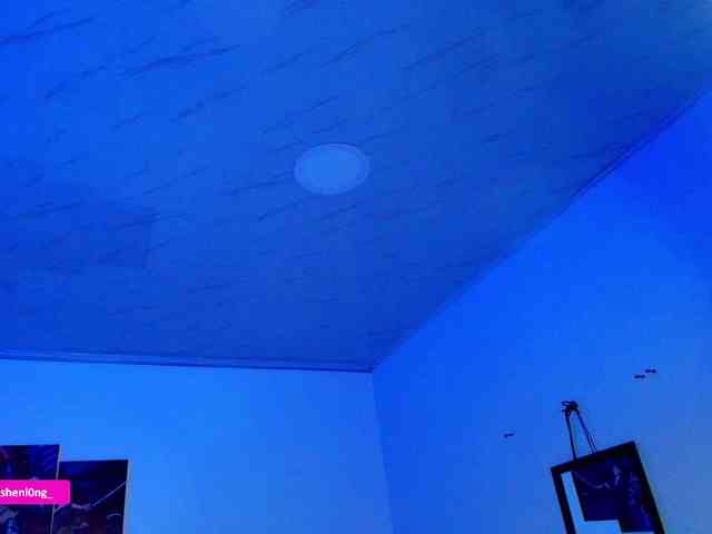 Nicorobin webcam
