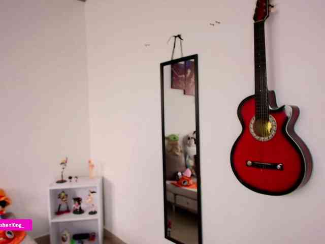 Nicorobin webcam