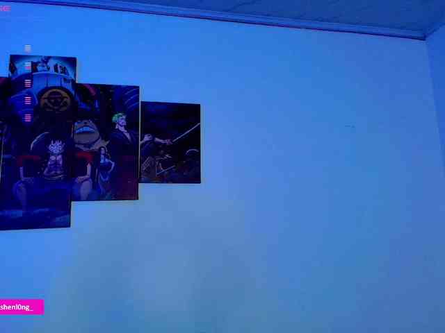 Nicorobin webcam