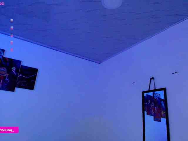 Nicorobin webcam