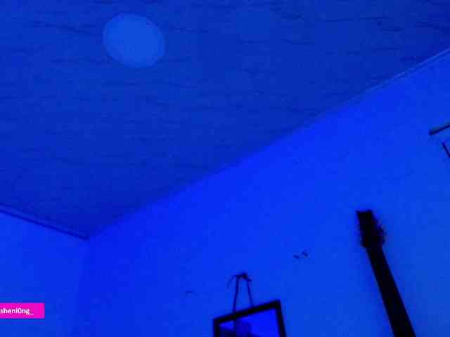 Nicorobin webcam