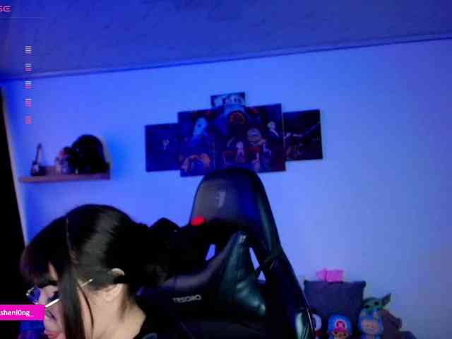 Nicorobin webcam