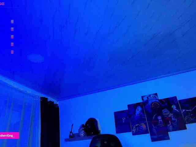 Nicorobin webcam