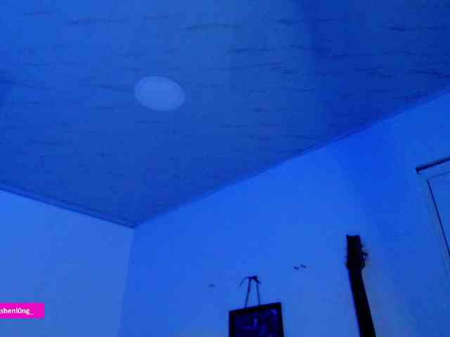 Nicorobin webcam