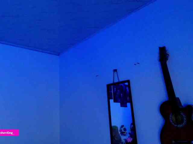 Nicorobin webcam