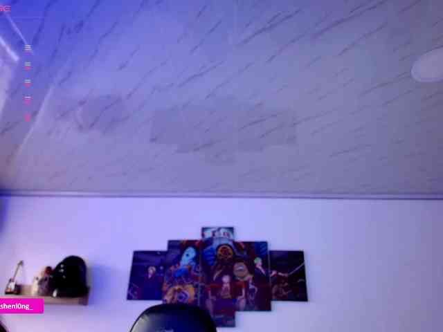 Nicorobin webcam