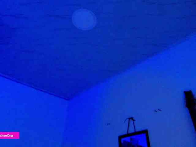 Nicorobin webcam